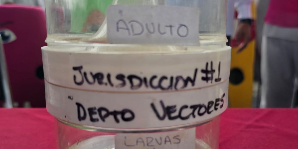 Comienza a ceder la transmisión del dengue en Tamaulipas
