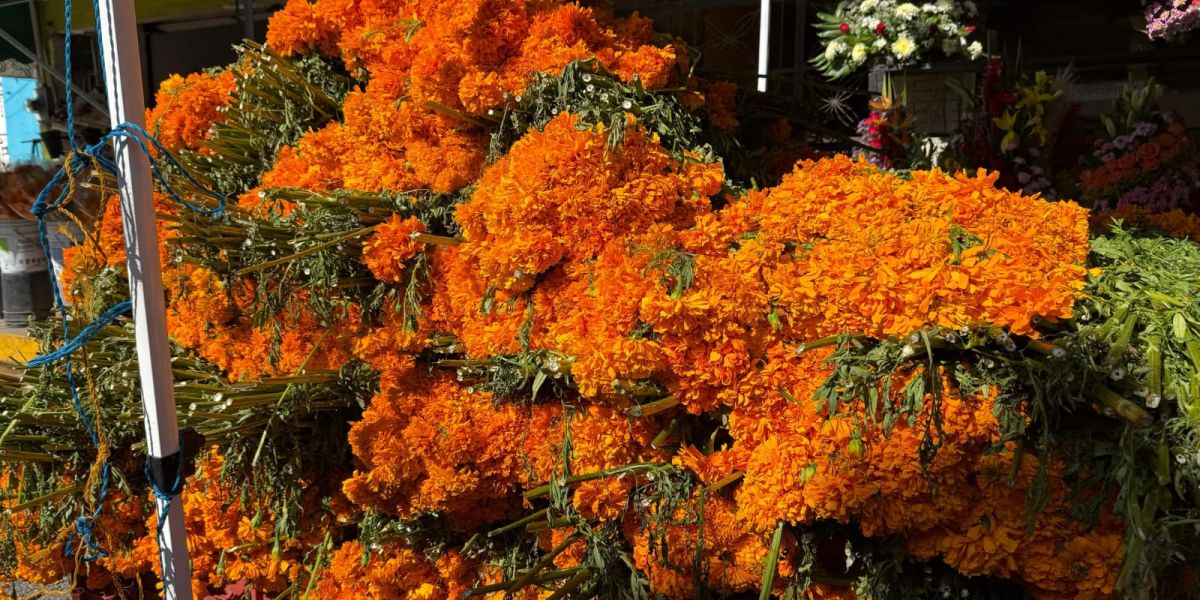 Familias ajustan tradiciones de Día de Muertos ante encarecimiento de insumos