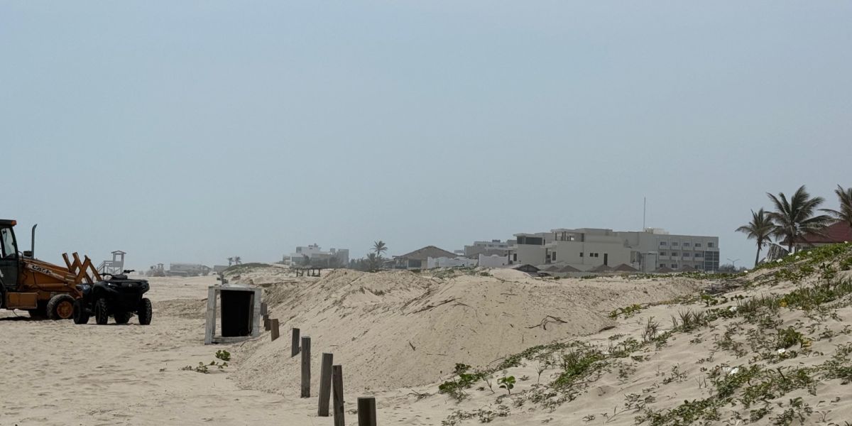 Presunto ecocidio en Playa Miramar