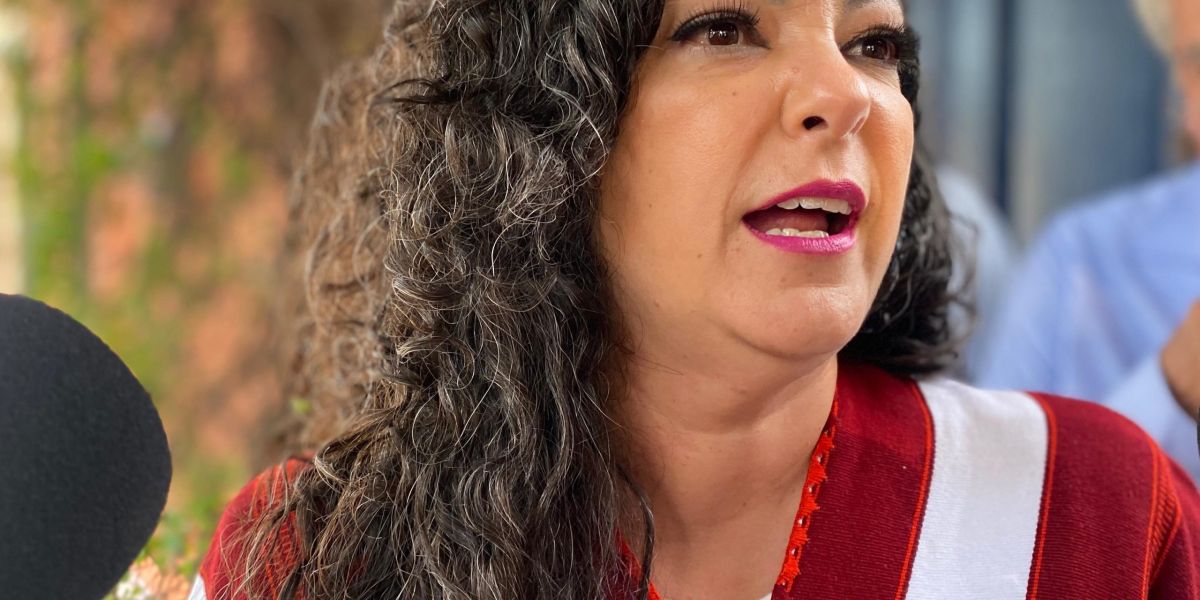 Nueva ley de seguridad permitirá frenar tráfico de armas: Senadora Olga Sosa