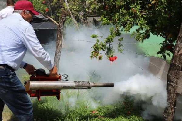 Salud advierte: sin limpieza en hogares, no habrá control del dengue