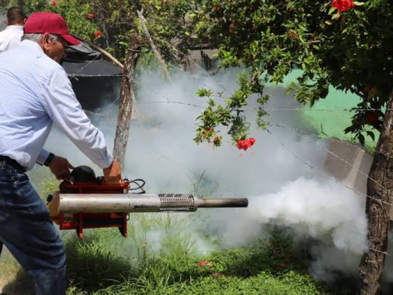 Salud advierte: sin limpieza en hogares, no habrá control del dengue