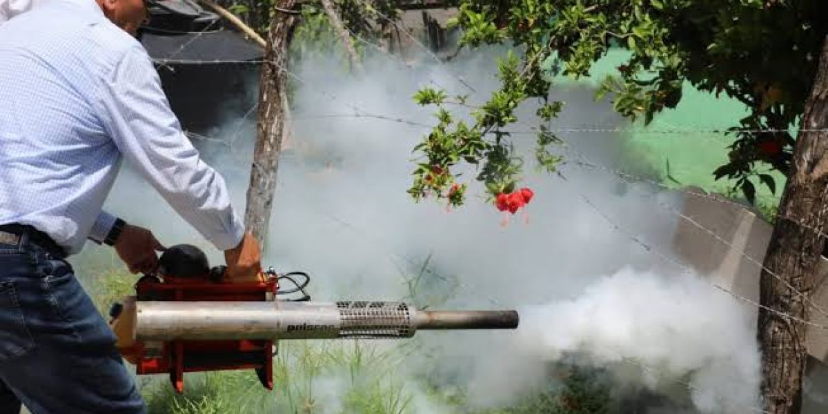 Salud advierte: sin limpieza en hogares, no habrá control del dengue