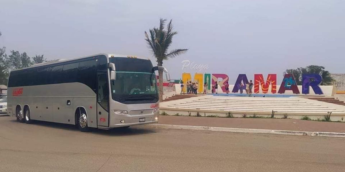 Brindarán servicio de transporte público durante carnaval