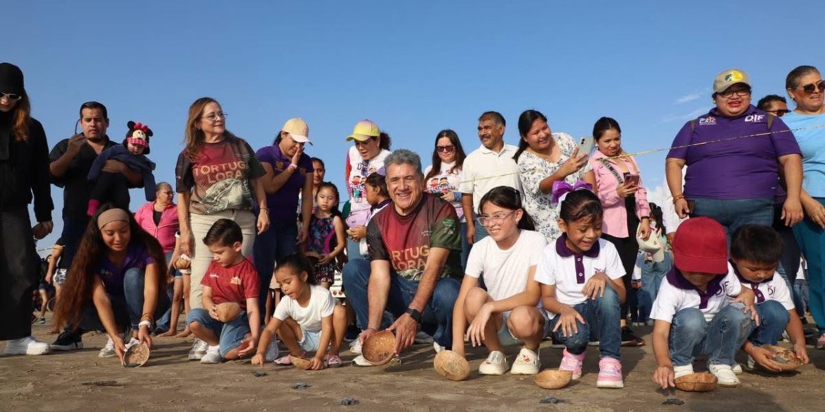 Liberan más de 400 crías de tortuga Lora en Playa Tesoro