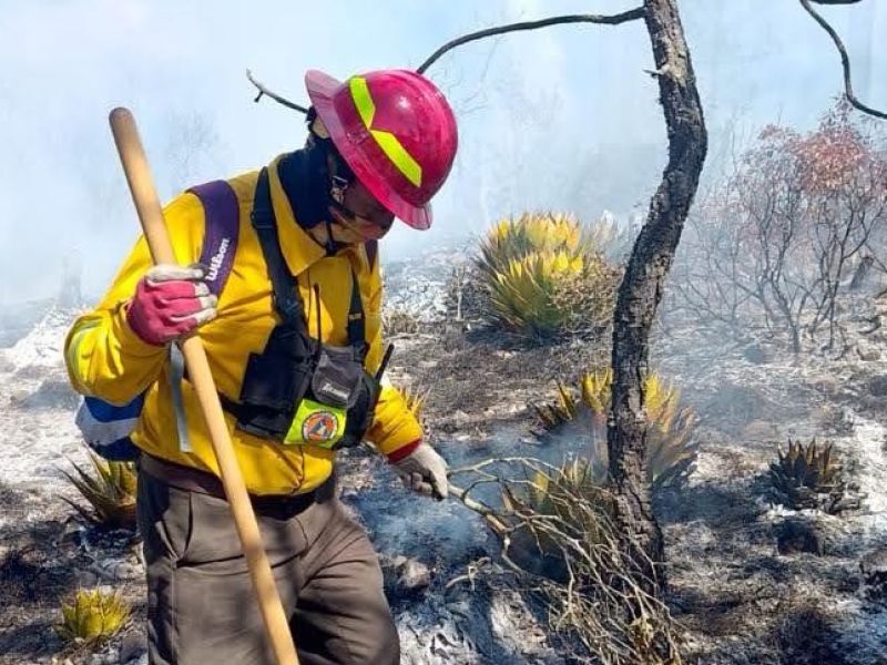 Combaten 59 brigadistas incendio en Miquihuana