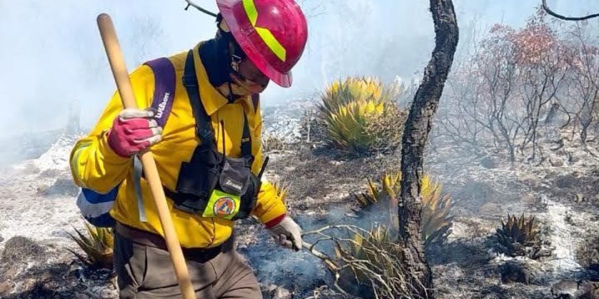 Combaten 59 brigadistas incendio en Miquihuana