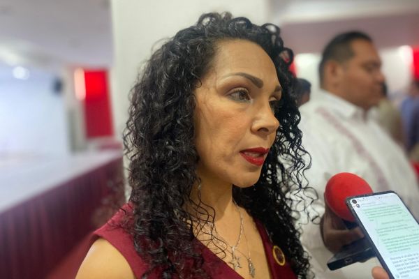 Defensores de la propiedad intelectual piden que municipios actualicen sus permisos