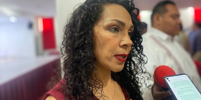 Defensores de la propiedad intelectual piden que municipios actualicen sus permisos
