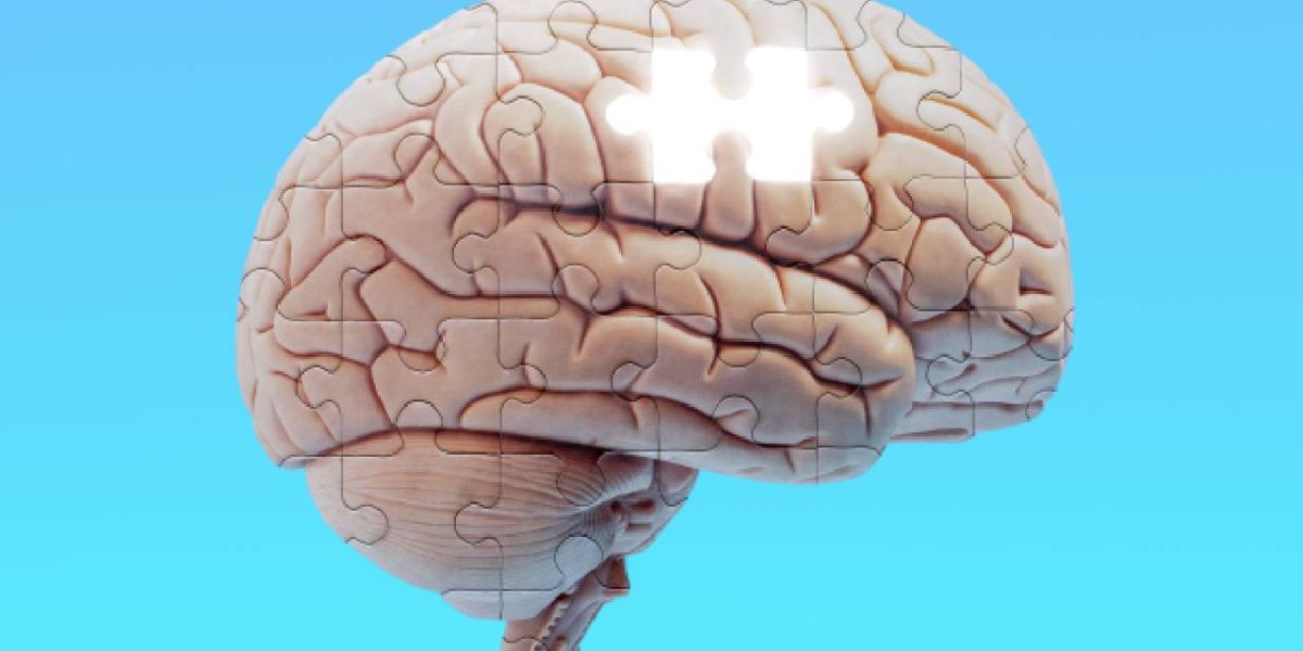 El alimento que mejora la memoria y ayuda a prevenir el deterioro cognitivo