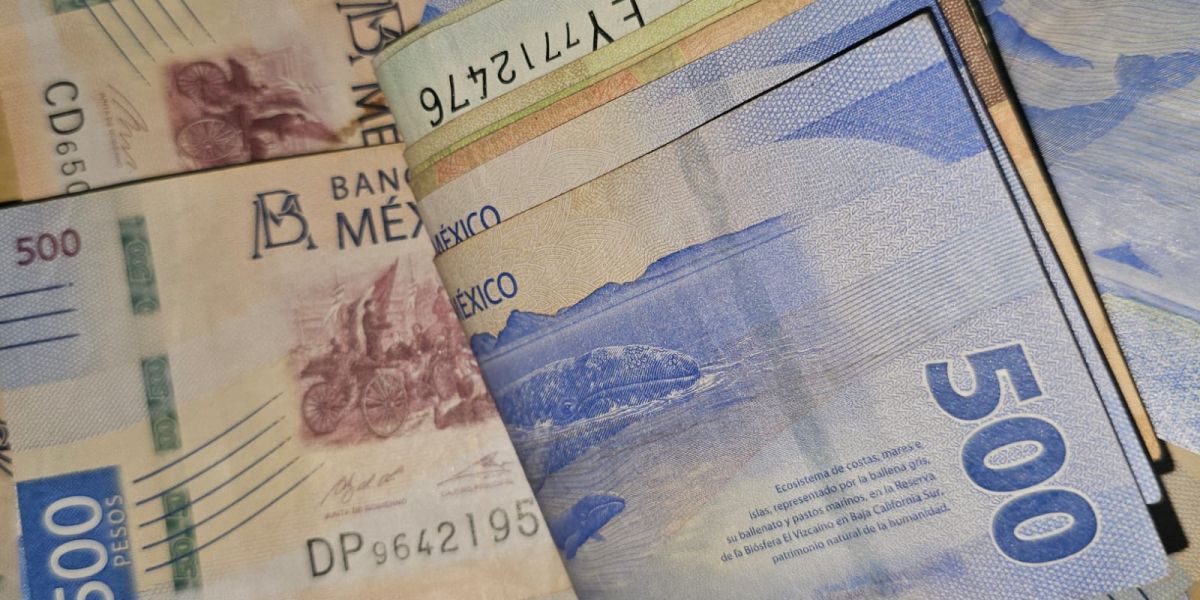 ¡Cuidado con los billetes falsos! El año pasado se detectaron más de 4,600 piezas en Tamaulipas