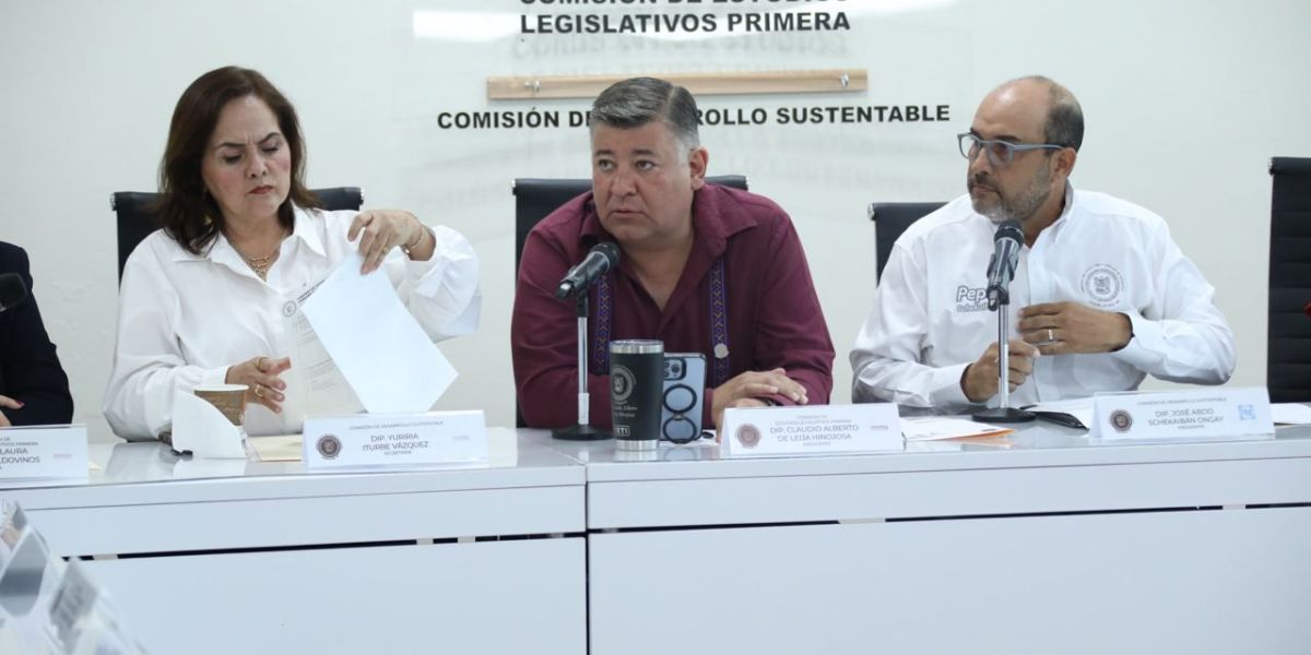 Nueva ley obligará a mantener limpios los predios urbanos aún en desuso