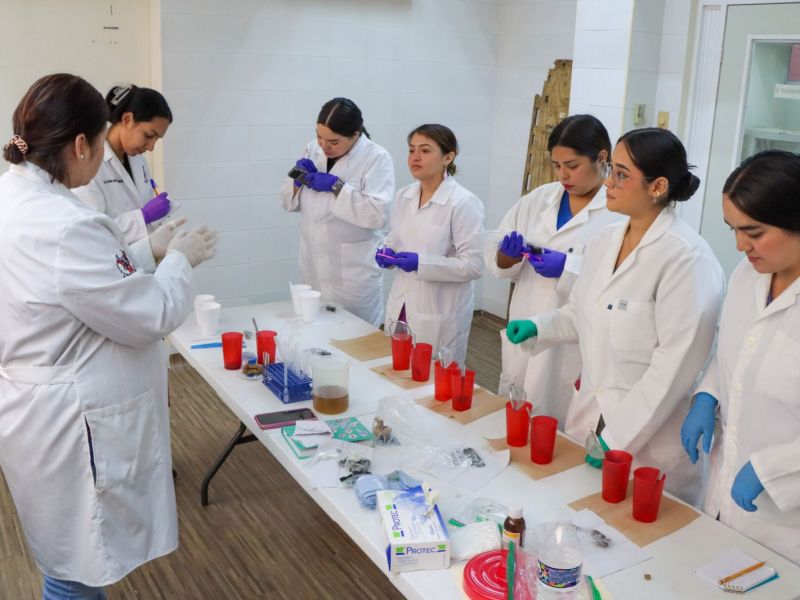 Refuerzan capacitación veterinaria en el Zoológico Tamatán