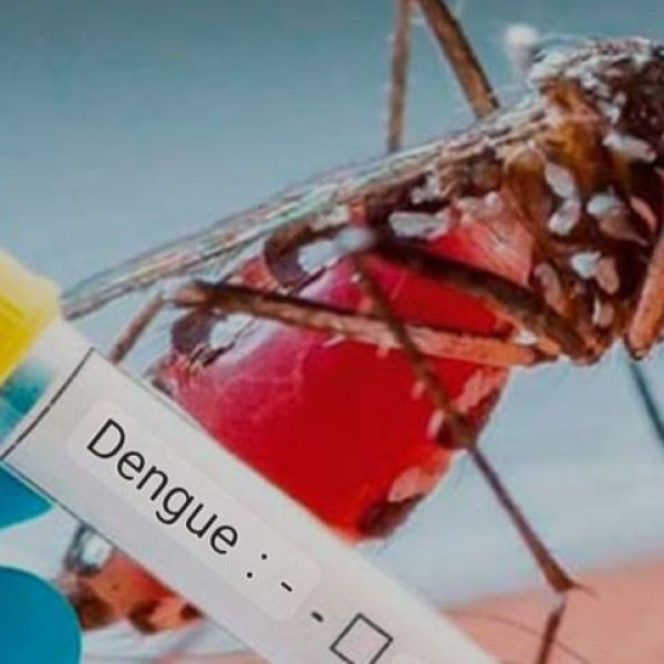 Suma Tamaulipas 25 nuevos casos de dengue en julio