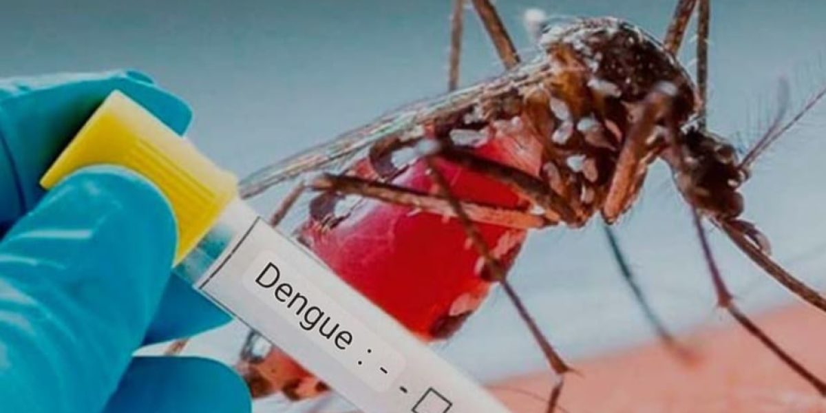 Suma Tamaulipas 25 nuevos casos de dengue en julio