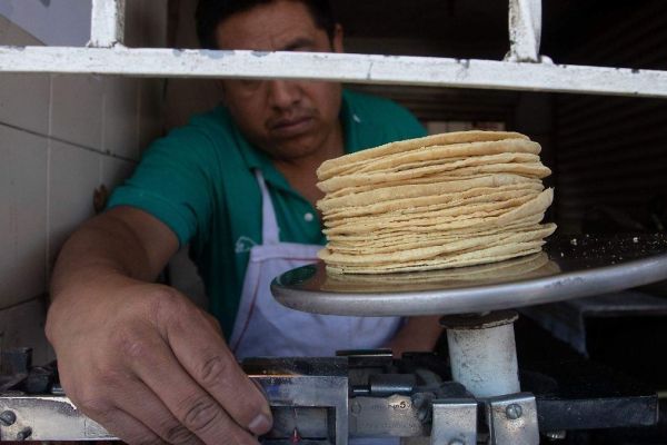 Buscan frenar “tortillazo” en Tamaulipas