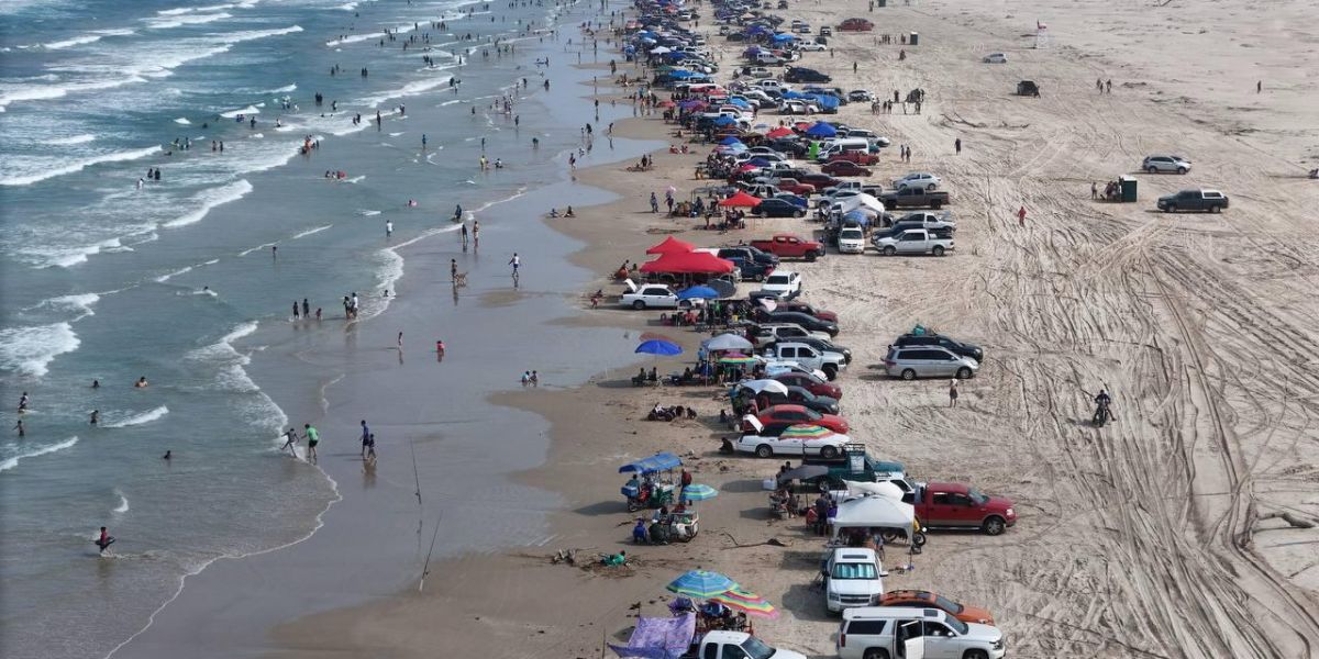 Confirman especialistas óptimas condiciones ambientales en Playa Miramar