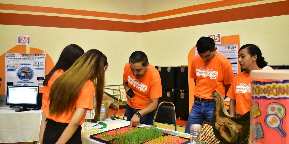 Produce la UAT forraje hidropónico del sorgo y maíz