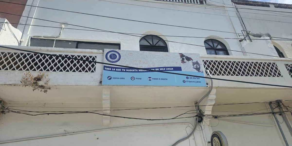 Se renta departamento para oficinas o negocio