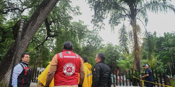 Atiende alcalde daños por intensas lluvias en Victoria