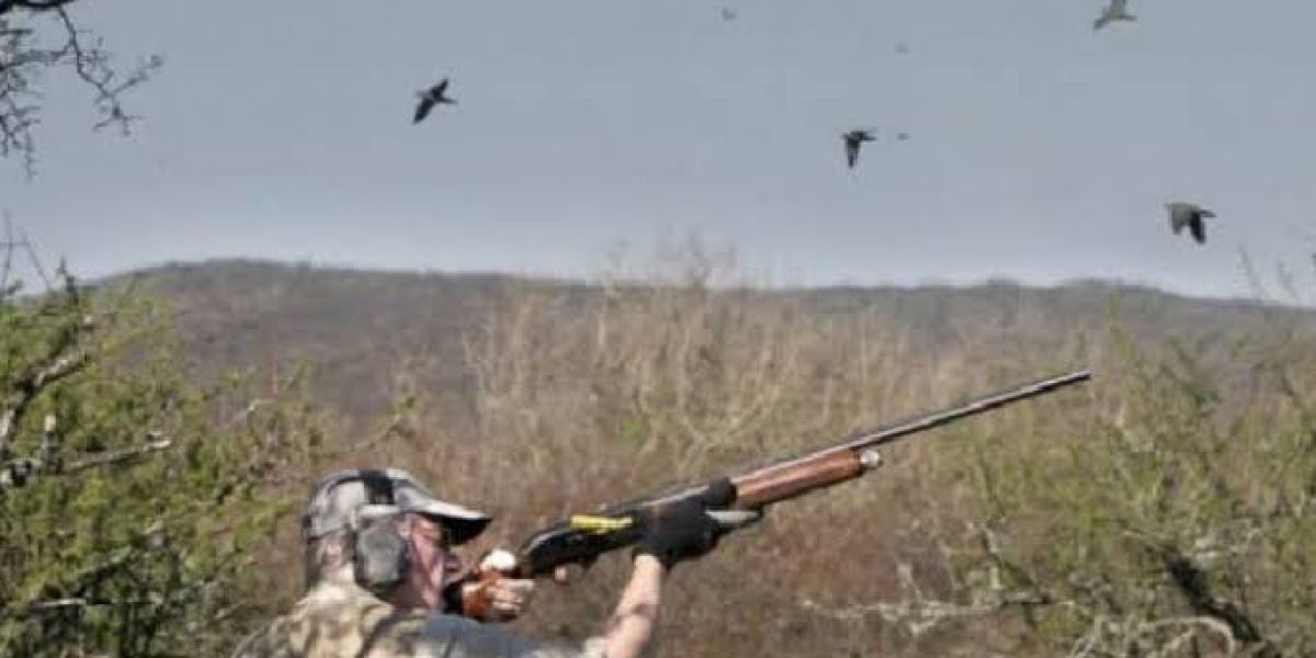 Garantizan vigilancia y seguridad en temporada de paloma blanca