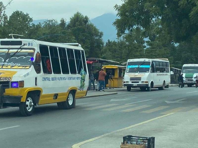 Transporte público en Victoria, entre el desorden y la urgencia de modernización