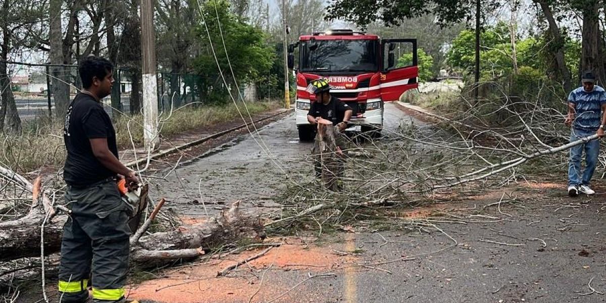 Ciudad Madero sin afectaciones mayores por Tormenta Tropical “Alberto”