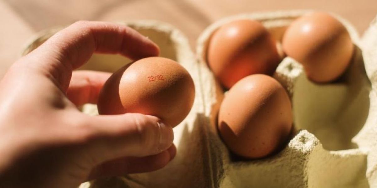 ¡Alerta sanitaria! Huevos contaminados con salmonela en Canadá