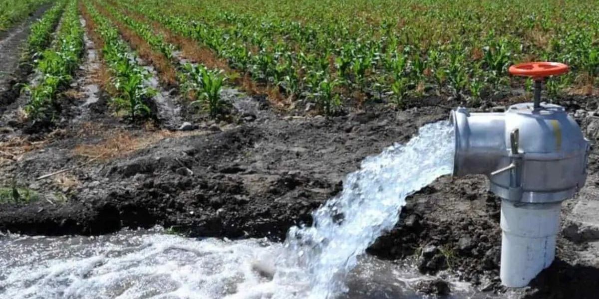 Entregas de agua a EU podrían desaparecer el Distrito de Riego 025