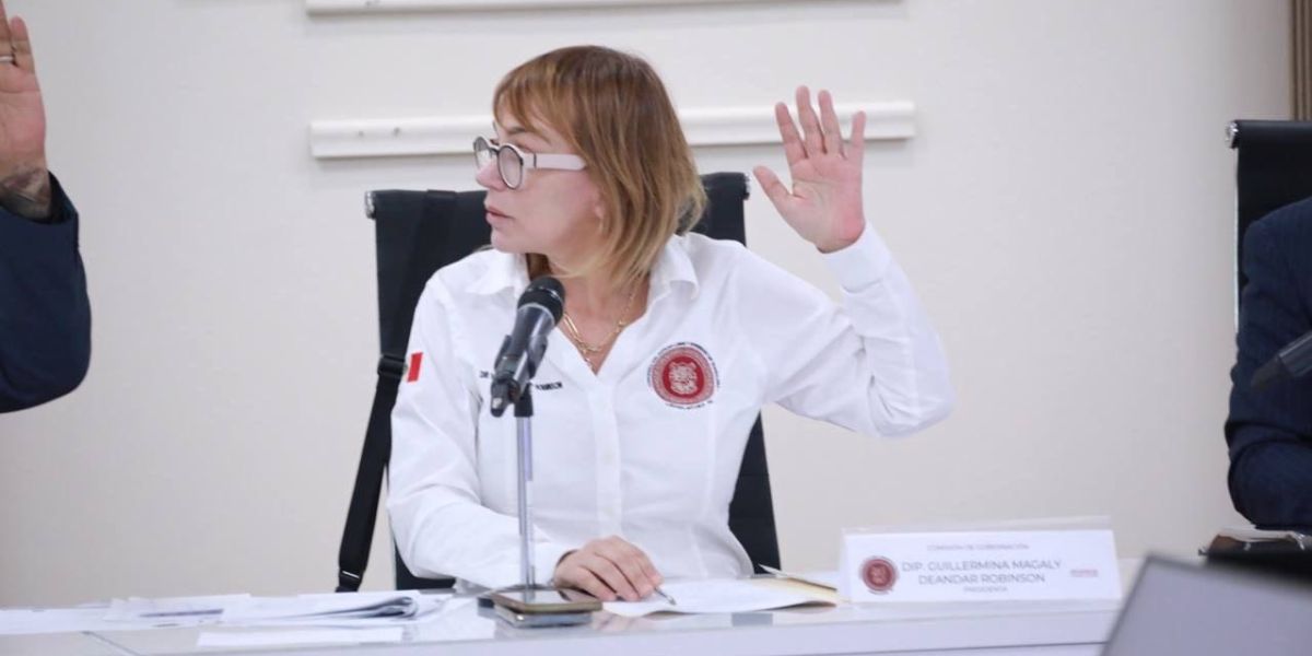 Magaly Deandar busca proteger a la niñez de cohabitar con adultos