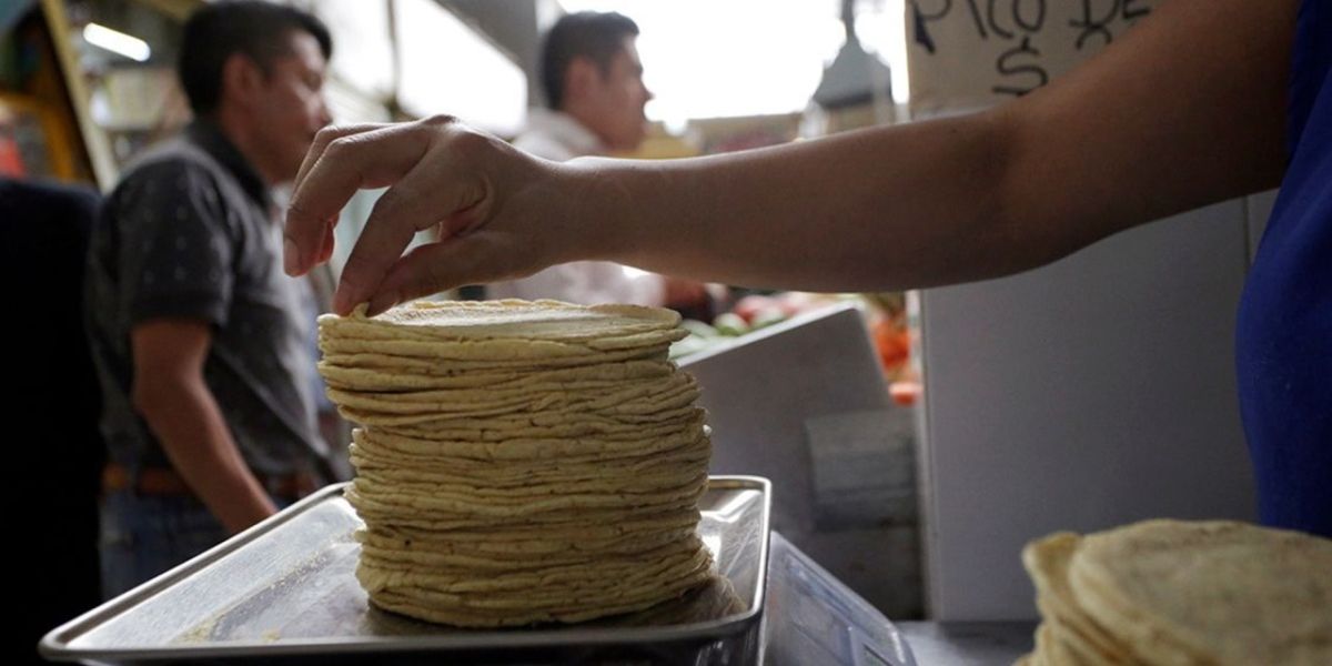 Instalan Mesa de Trabajo Maíz-Tortilla en Tamaulipas