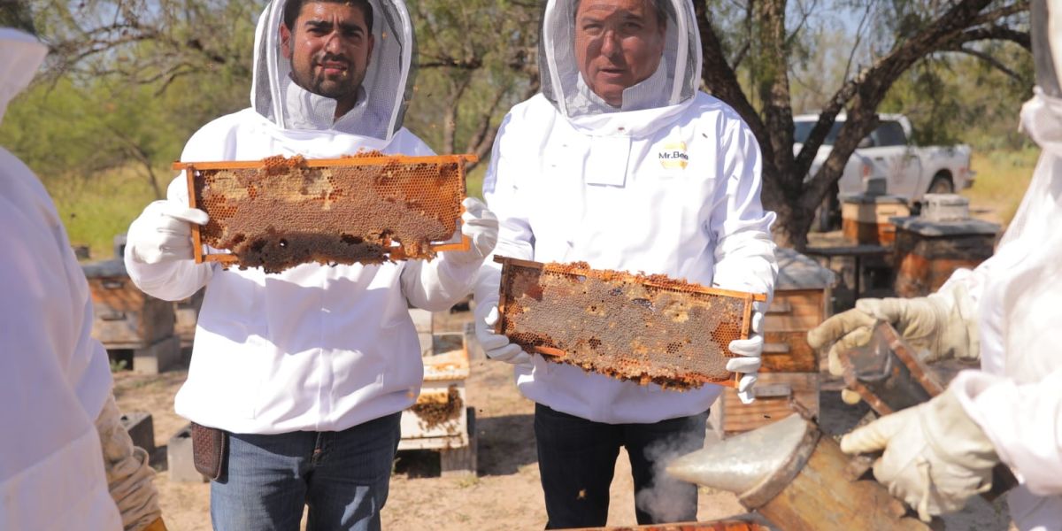 Es gobierno municipal de Nuevo Laredo ubico en Tamaulipas con programa de rescate de colmenas