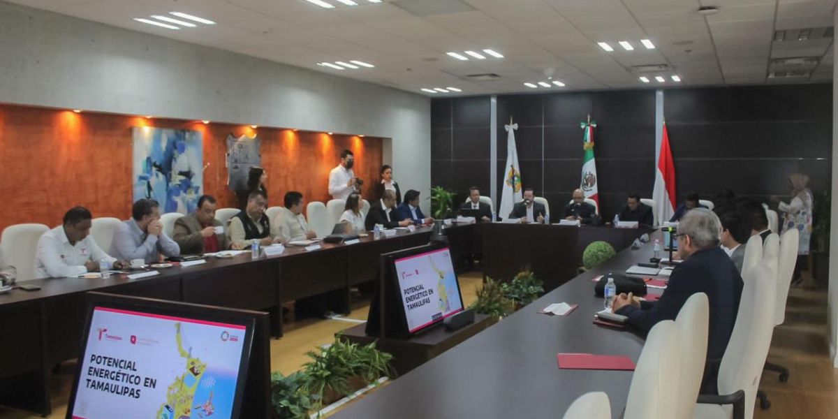 Comisión de Energía de Tamaulipas se reúne con Embajada de Indonesia para pactar proyectos estratégicos