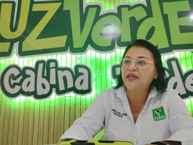 PVEM acusa falta de espacios en gobierno pese a alianza electoral