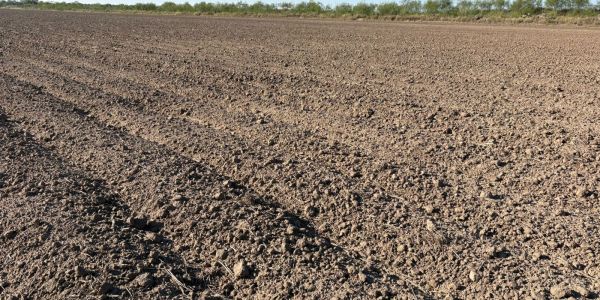 Sequía prolongada en el norte presiona al campo