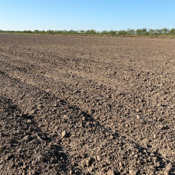 Sequía prolongada en el norte presiona al campo