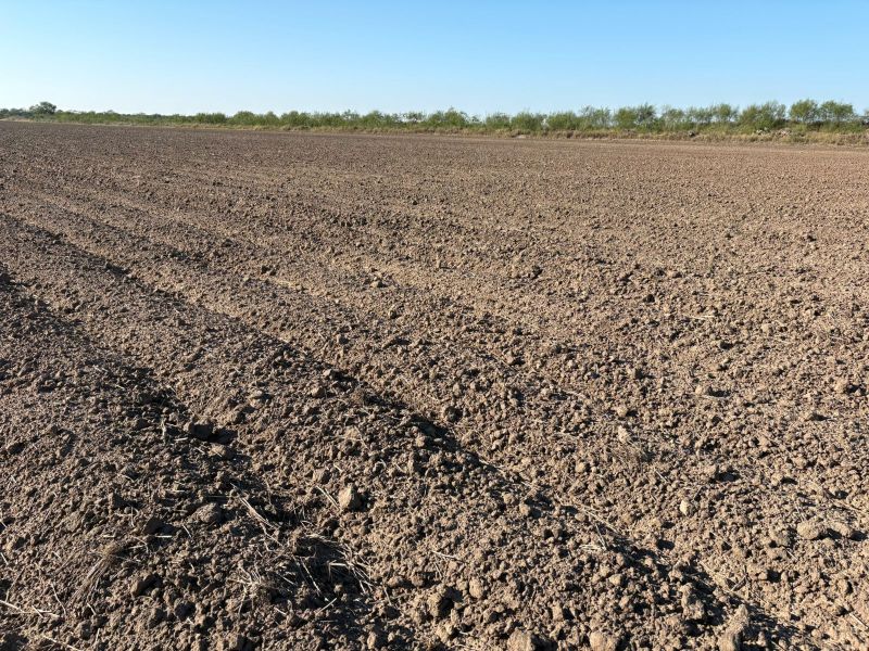 Sequía prolongada en el norte presiona al campo