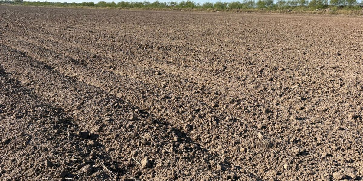 Sequía prolongada en el norte presiona al campo
