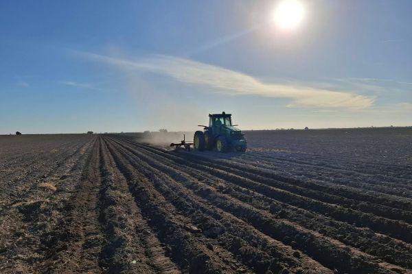 Productores advierten crisis por altos costos y bajos precios de cosecha