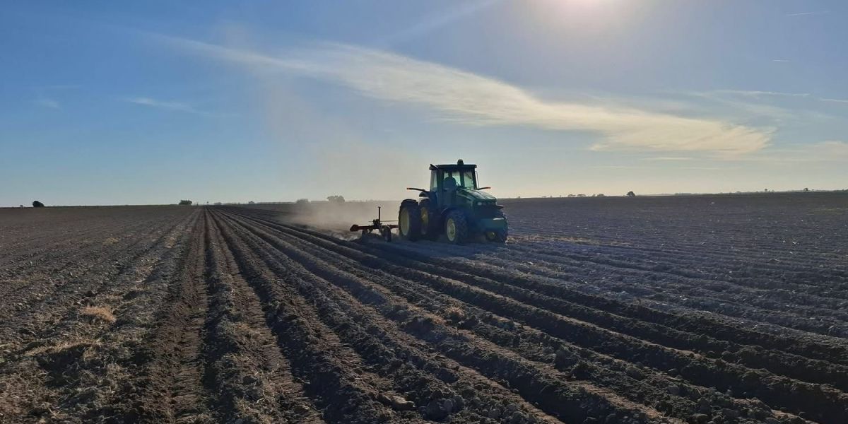 Productores advierten crisis por altos costos y bajos precios de cosecha