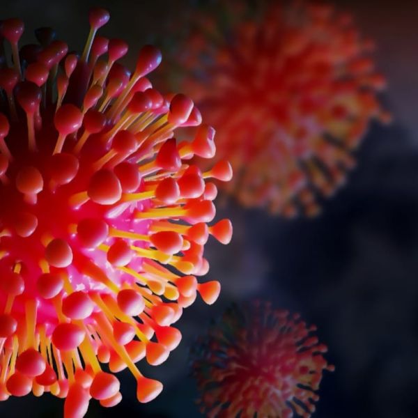 Surge en México el primer caso de influenza A H3N2 subclado K