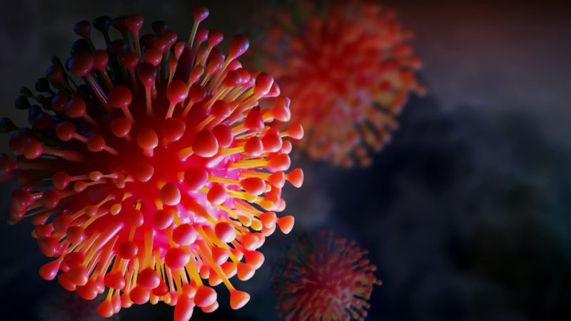 Surge en México el primer caso de influenza A H3N2 subclado K