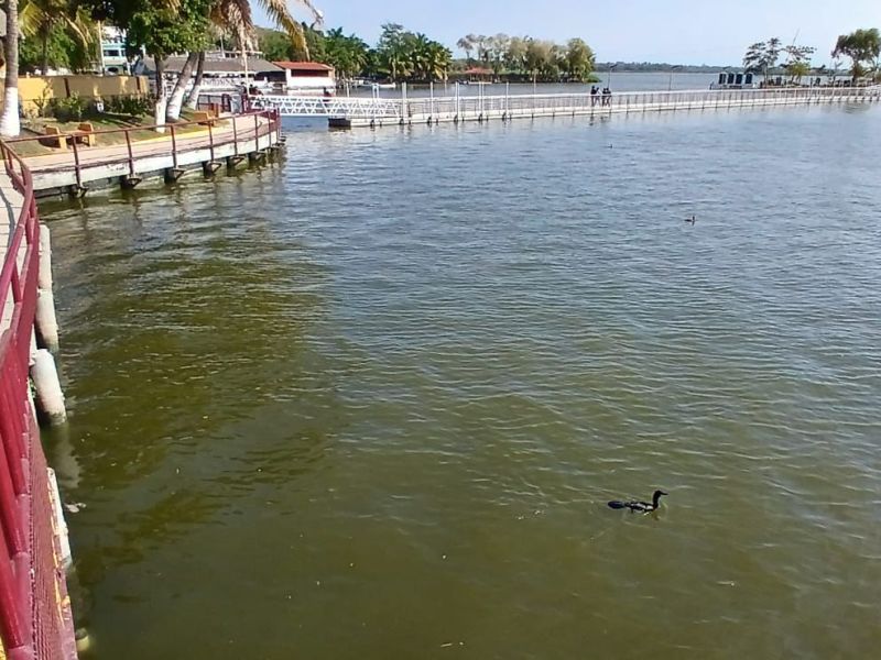 El Sur pierde 300 litros de agua tratada por segundo