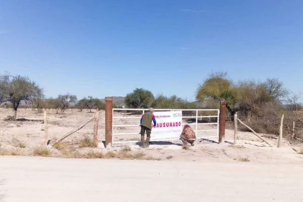 Profepa frena desmonte ilegal en Tula y clausura dos predios