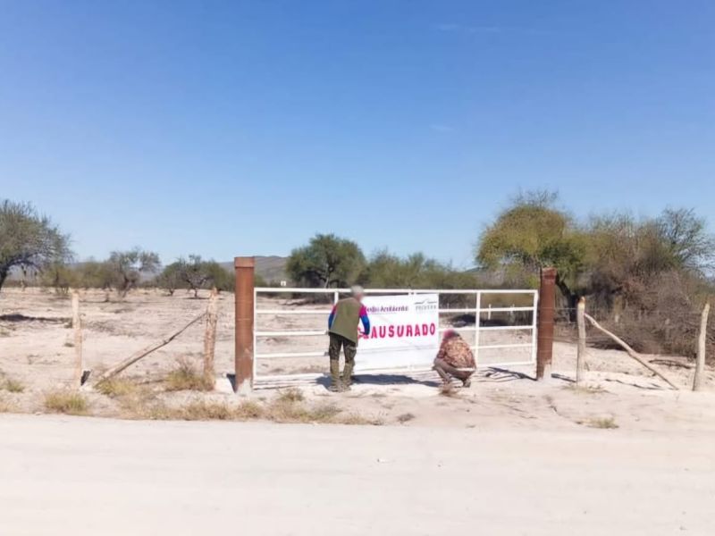 Profepa frena desmonte ilegal en Tula y clausura dos predios
