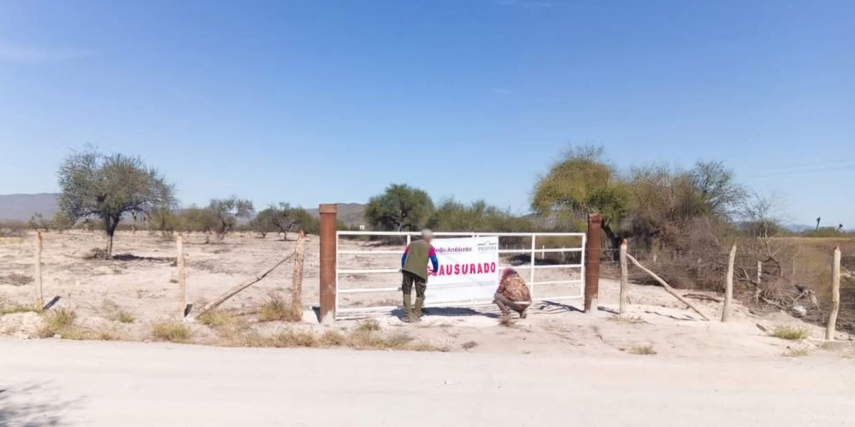 Profepa frena desmonte ilegal en Tula y clausura dos predios