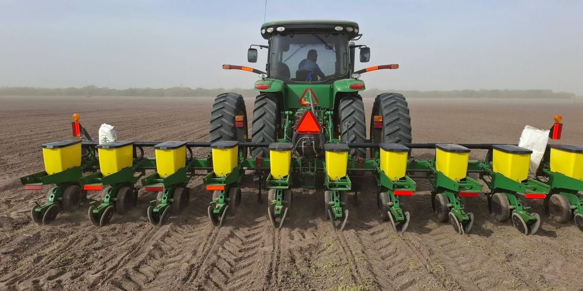 Con todo y sequía, productores definen calendario de siembra