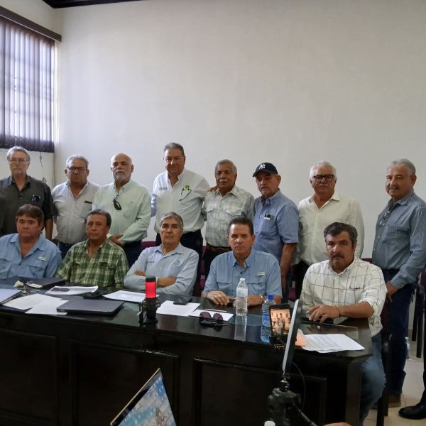 Colapsa agricultura en la zona norte por falta de apoyos