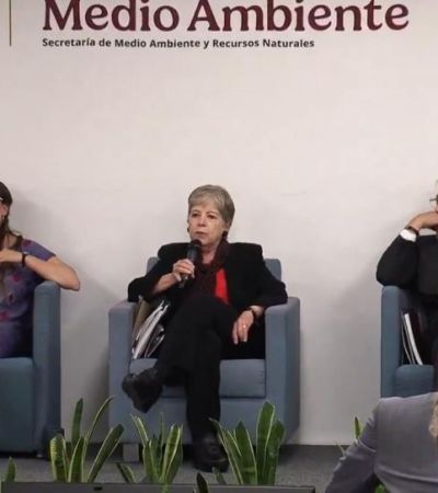 Impiden ecocidio en Caribe mexicano; frenan proyecto