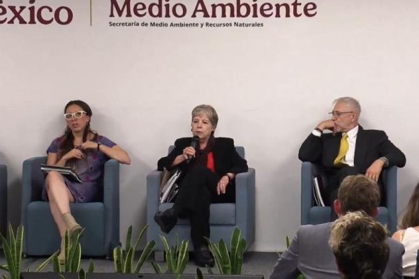 Impiden ecocidio en Caribe mexicano; frenan proyecto